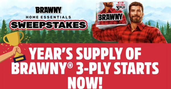 Your Messes Covered – Win a Year of Brawny Towels!