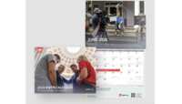 Guide Your Year with Grace – FREE 2026 Calendar from EWTN!