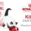 Royal Canin Kitten Chatterbox for Free
