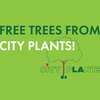 Trees For Your Street for Free