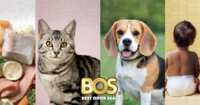 BOS Is Giving Away Free Summer Party Packs!