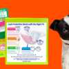 Tail-Wagging Offer: Free Hartz Disposable Dog Diapers & Male Wraps!