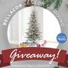 Bellacor Vickerman Sierra Christmas Tree Sweepstakes