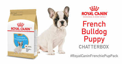 Free Royal Canin French Bulldog Puppy Chatterbox Kit!