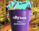 Your Chance to Win $10,000 This Fall – Ally Instagram Giveaway