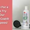 Keep Your Dog's Coat Glowing: Grab a Free Hartz True Coat Shampoo Sample