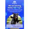 Get a FREE Argus Pet Tag + We’ll Ship It Free!