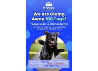 Get a FREE Argus Pet Tag + We’ll Ship It Free!