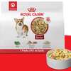 Treat Your Pup: FREE Royal Canin Dog Food Chatterbuy Kit