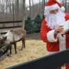 See Santa’s Reindeer Live — Streaming Free 24/7