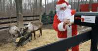 See Santa’s Reindeer Live — Streaming Free 24/7
