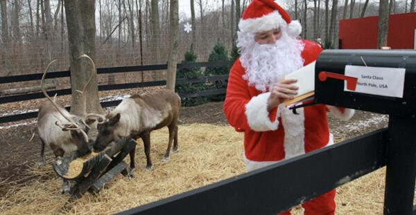 See Santa’s Reindeer Live — Streaming Free 24/7