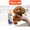 Hartz Triple Active Flea & Tick Dog Shampoo for Free