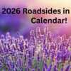 Celebrate Nature: Free 2026 Roadsides in Bloom Calendar!