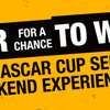 Celebrate with DEWALT: Enter the 100th Anniversary Show Car Sweepstakes!