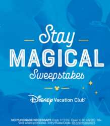Sweepstakes: Disney Vacation & Stay at Cinderella's Castle at Magic Kingdom