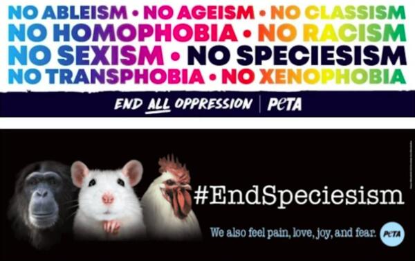 PETA Animal Rights Bookmarks for FREE