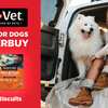 Healthy Snacking: Free Nutri-Vet Biscuits for Dogs Chatterbuy Kit!