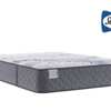 Sealy Product for Free