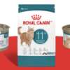 Snag a FREE Royal Canin Aging 11+ Chatterbox Kit