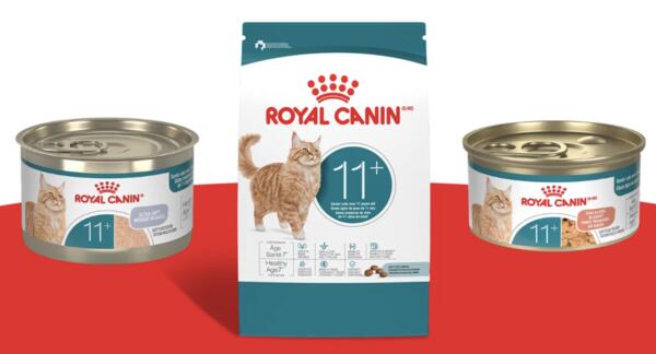 Snag a FREE Royal Canin Aging 11+ Chatterbox Kit
