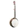 Gold Tone Banjo Giveaway