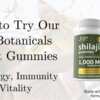 Natural Energy, Better Focus – Free Jiva Shilajit Gummies!