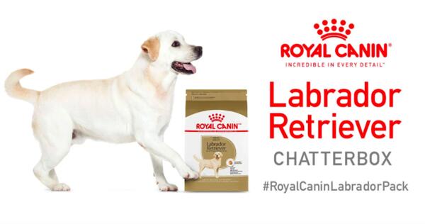 Royal Canin Labrador Retriever Chatterbox Kit for FREE