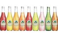 Buy Jarritos at CVS, Get 100% Back – It’s FREE!