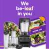 Earthbound Farm New Year We Be-Leaf In You Sweepstakes