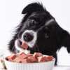 Try It Free: SPD™ Fresh Roll Premium Dog Food Sample!