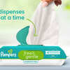 Free Pack of Pampers Wipes Free & Gentle Offer