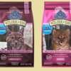 Free Wilderness Salmon Recipes Kit for Cats & Kittens