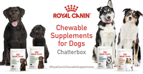 Apply Now: FREE Chewable Dog Supplements from Royal Canin!