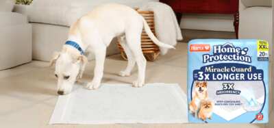  FREE Hartz® Miracle Guard XXL Disposable Dog Pads