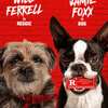 Free Strays Movie Screening 
