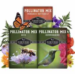 Help Pollinators: FREE Native Seeds from National Geographic
