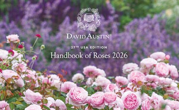 2026 David Austin Handbook of Roses — Free to Order