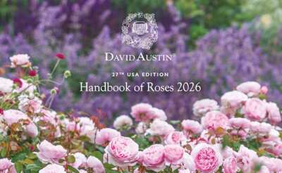 2026 David Austin Handbook of Roses — Free to Order
