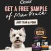 Spoil Your Furry Friend with a FREE CESAR Mini-Pouch Sample