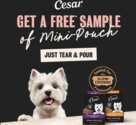 Spoil Your Furry Friend with a FREE CESAR Mini-Pouch Sample