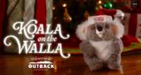 Outback Freebie: Get Your FREE Koala Plush + Free Shipping