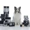 Spoil Your Furry Friend with FREE STUCK SOAP Dog Shampoo