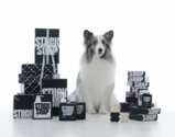 Spoil Your Furry Friend with FREE STUCK SOAP Dog Shampoo