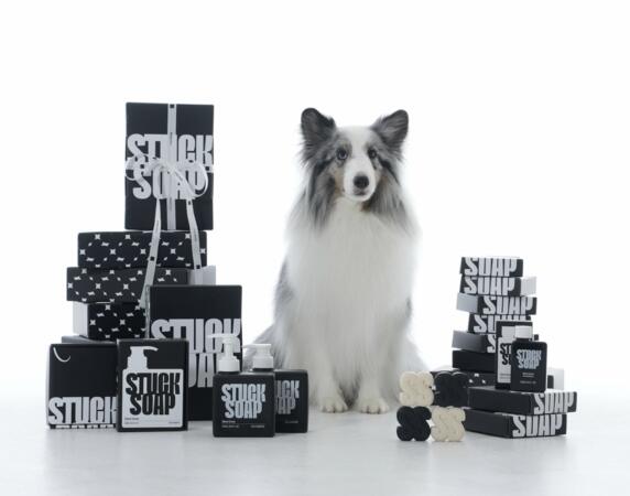 Spoil Your Furry Friend with FREE STUCK SOAP Dog Shampoo