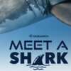 OCEARCH Sweepstakes – Win a Shark Encounter Experience