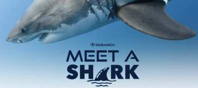 OCEARCH Sweepstakes – Win a Shark Encounter Experience