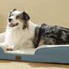 Hurry! FREE Bedsure Dog Bed While Supplies Last