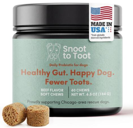 Treat Your Pup to FREE Full-Size Snoot to Toot Chews