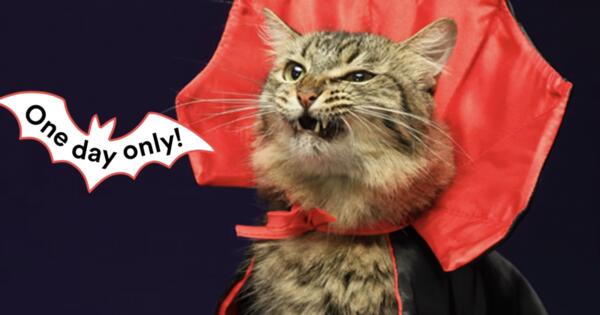 Petco's Howl-O-Ween = FREE Stuff for You (Up to $499!)